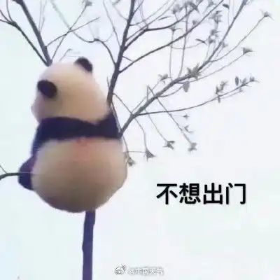  夏天好像会放大一部分欲望和渴望