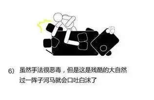  如何用格斗技术与野生动物战斗
