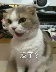  你要是敢养猫,我就给你扔出去吸猫真香