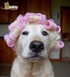  就刚才和老妈出去买冰棍差不多有50多根