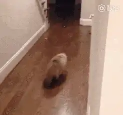  搞笑gif这又是什么科幻片,不过场景挺过瘾的