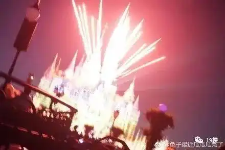  上海迪士尼着火了网友晒出照片,结果...哈哈哈哈哈哈