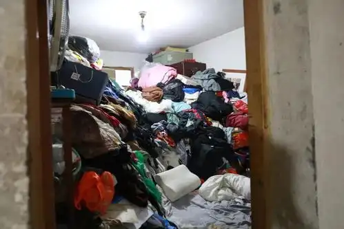 两套房子清出15卡车宝贝垃圾搞完董阿姨唱起了歌  两套房子清出15卡车宝贝垃圾搞完董阿姨唱起了歌