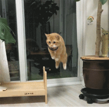 推倒时竟忘了关直播摄像头动图一位肥宅准备试深浅  推倒时竟忘了关直播摄像头动图一位肥宅准备试深浅