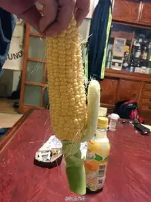  大王搞笑我什么都没看到,我还是个孩子