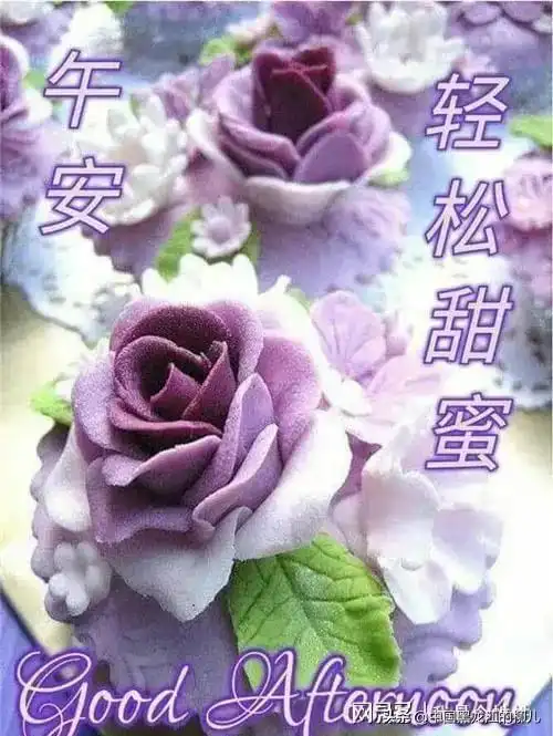 午安问候祝福美图