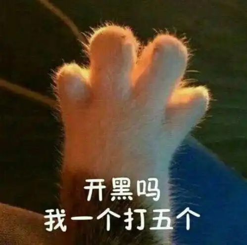 哈哈喵开黑的表情包郑家