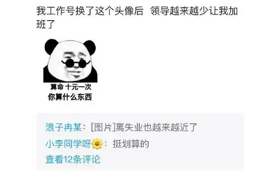  当代年轻人的头像到底有多重要哈哈哈哈笑死我了...