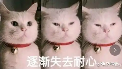  白盼了三天,淄博人集体患上贫雪症明天较冷最低6