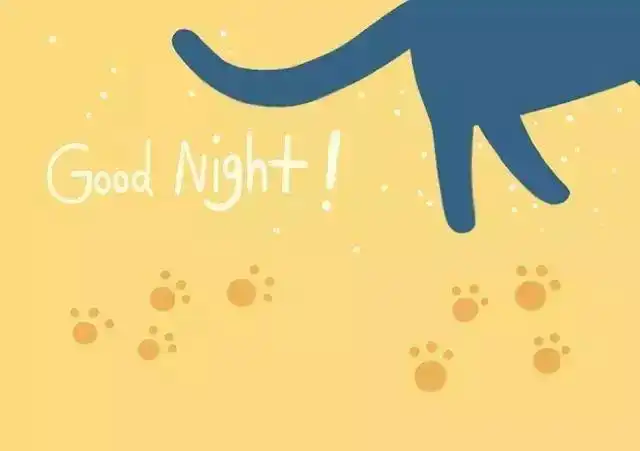  萌猫壁纸晚安喵,全集大赏