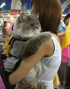 最新幽默笑话大全,搞笑段子大全,搞笑动态图片大全第3480页别逗了笑话网  最新幽默笑话大全,搞笑段子大全,搞笑动态图片大全第3480页别逗了笑话网