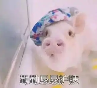套路表情包一套猪小心眼