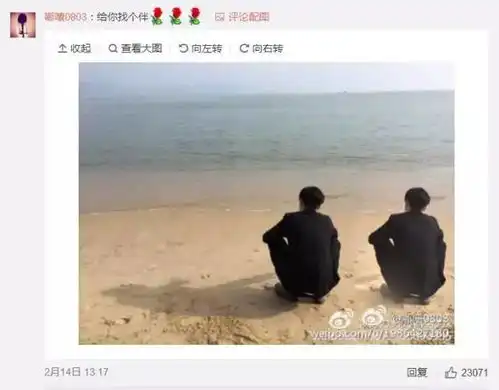  张艺兴好惨,原来粉丝都是假的