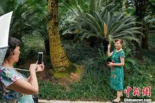 铁树开花图片搞笑广西南