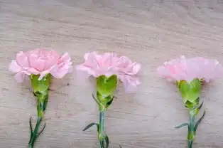  幽默的表达感冒难受的朋友圈说说