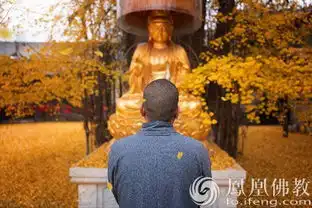  一日禅愚人求佛不求心