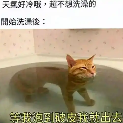 每日一笑当我妈在路上碰到了熟人  每日一笑当我妈在路上碰到了熟人