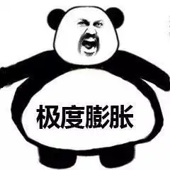没你不行熊猫头表情包滑