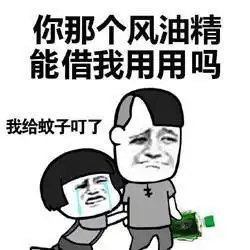  搞笑神回复蚊子捏着鼻子过来咬我怎么办