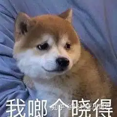  如何评价电影死寂逃亡