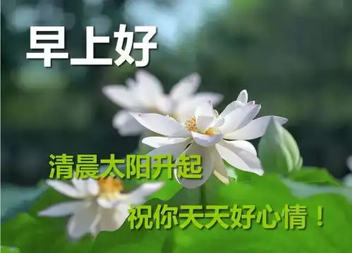  5月最新的早晨好祝福问候语图片表情专辑