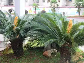  安庆市大观区大观教育专题