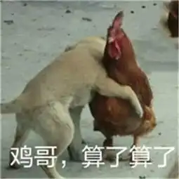  重温情深深雨濛濛之后,才发现这两人最应该在一起