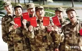  河北大学生征兵入伍政策