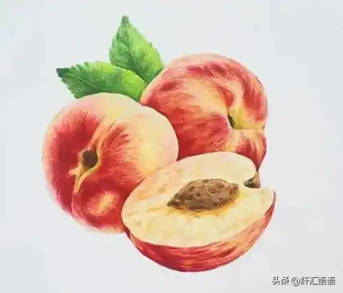  彩铅水果画构图和谐,颜色富有层次感,质感逼真