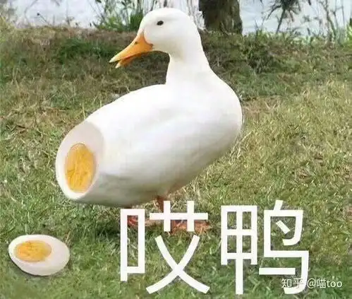  苹果笔记本为什么容易卡机死机