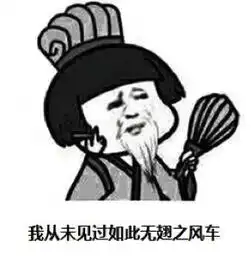  风起时,不管猪能不能飞上天,灵感一定要性感得飞起可道的财新博客财新网
