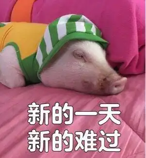 关于猪的搞笑表情包开心得像个小猪仔  关于猪的搞笑表情包开心得像个小猪仔