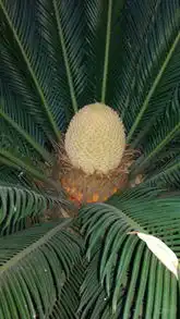 河北社区图片集锦易车 河北社区图片集锦易车