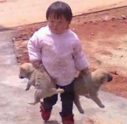 搞笑趣图一张图告诉你什么是真正的女汉子  搞笑趣图一张图告诉你什么是真正的女汉子