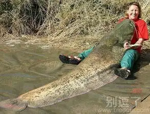  笑话图片笑话图片大全爆笑笑话图片别逗了