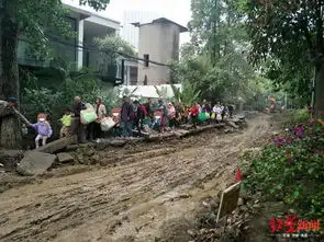  险上学路遇改造,小朋友乱石坑踩独木桥上幼儿园
