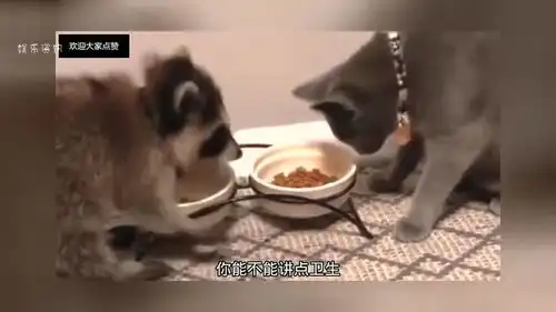  爆笑段子你咋还急眼了都