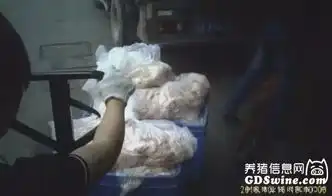 广州番禺疑现地沟油作坊恶臭难闻,日收万斤猪下脚料组图  广州番禺疑现地沟油作坊恶臭难闻,日收万斤猪下脚料组图