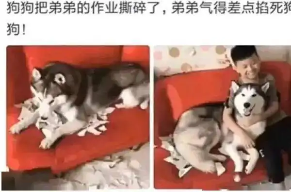 今日份沙雕图  今日份沙雕图