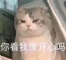  猫咪表情包合集你看我像猪吗