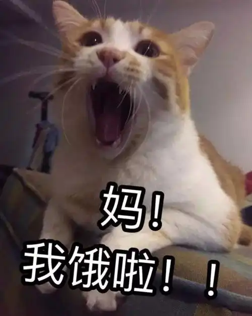  当你妈微信经常不理你,你可以发一发这个
