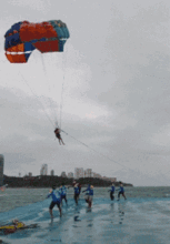 哈士奇动态图片搞笑gif