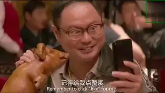 一群猪吃饭的图片搞笑我