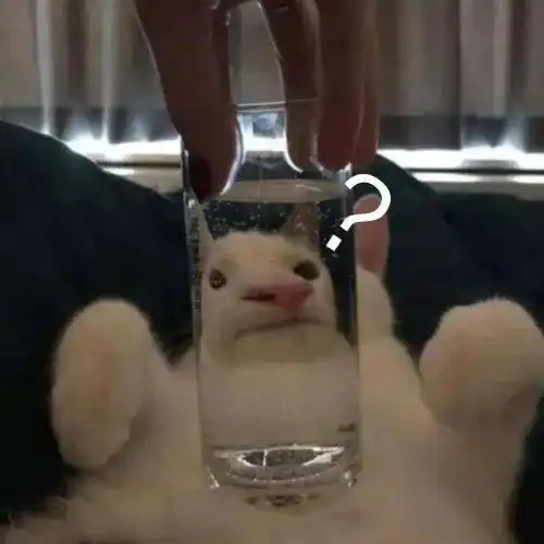 当老板或上司问你忙不忙,怎么回答 当老板或上司问你忙不忙,怎么回答