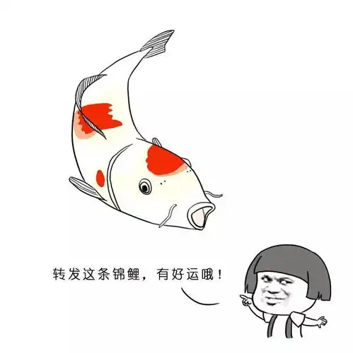 家乡话四川人说话太好笑了吧,骂人还要顺便卖萌  家乡话四川人说话太好笑了吧,骂人还要顺便卖萌