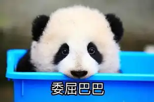  成都有理由把你留下来