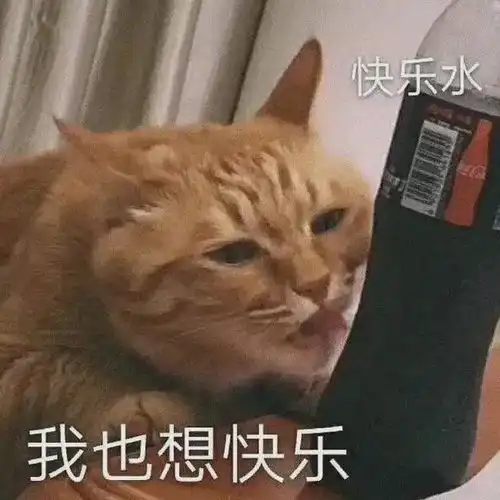  沙雕网友遇上谐音梗,两种搞笑分成的碰撞,又能擦出怎样的火花