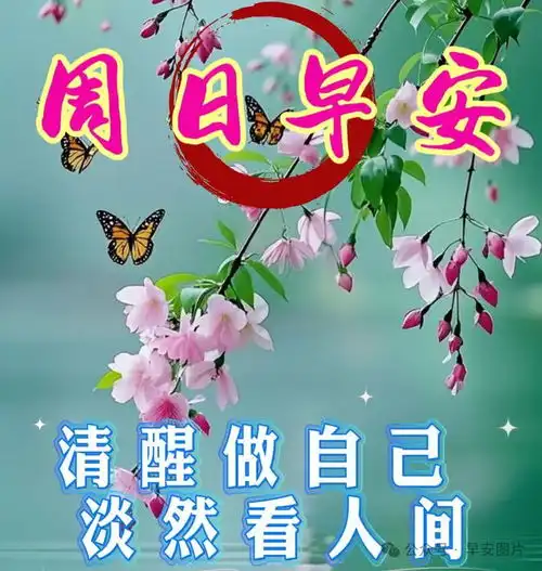  2025年4月13日周日早上好,春天早安问候图片和早安祝福,祝大家周末愉快