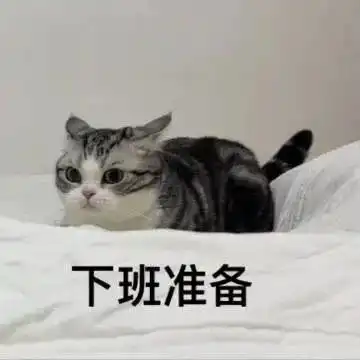  小脾气上头丨第811期喵表情包