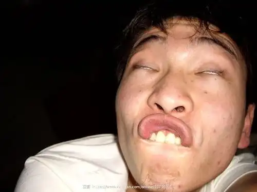  我的收藏